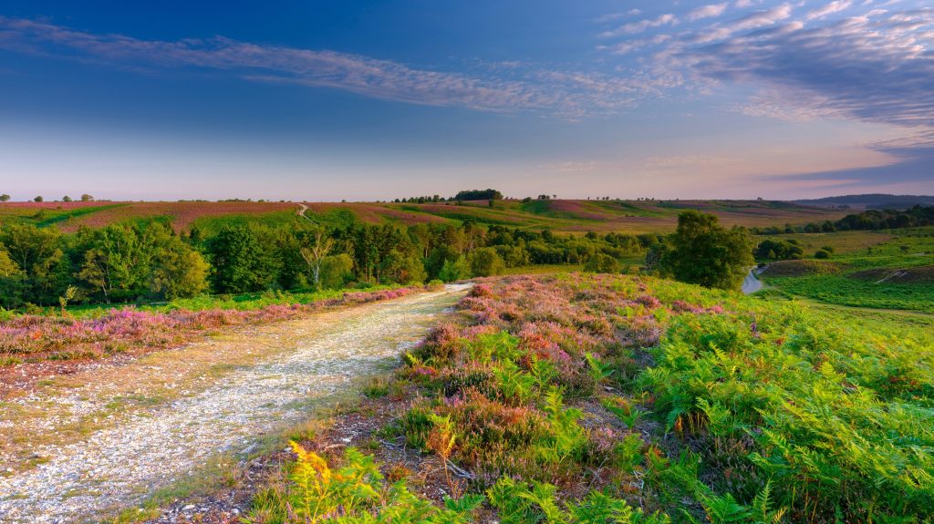 PCB Manufacturing in Hampshire | New Forest PCB Design | Electronics Manufacturing in Hampshire
